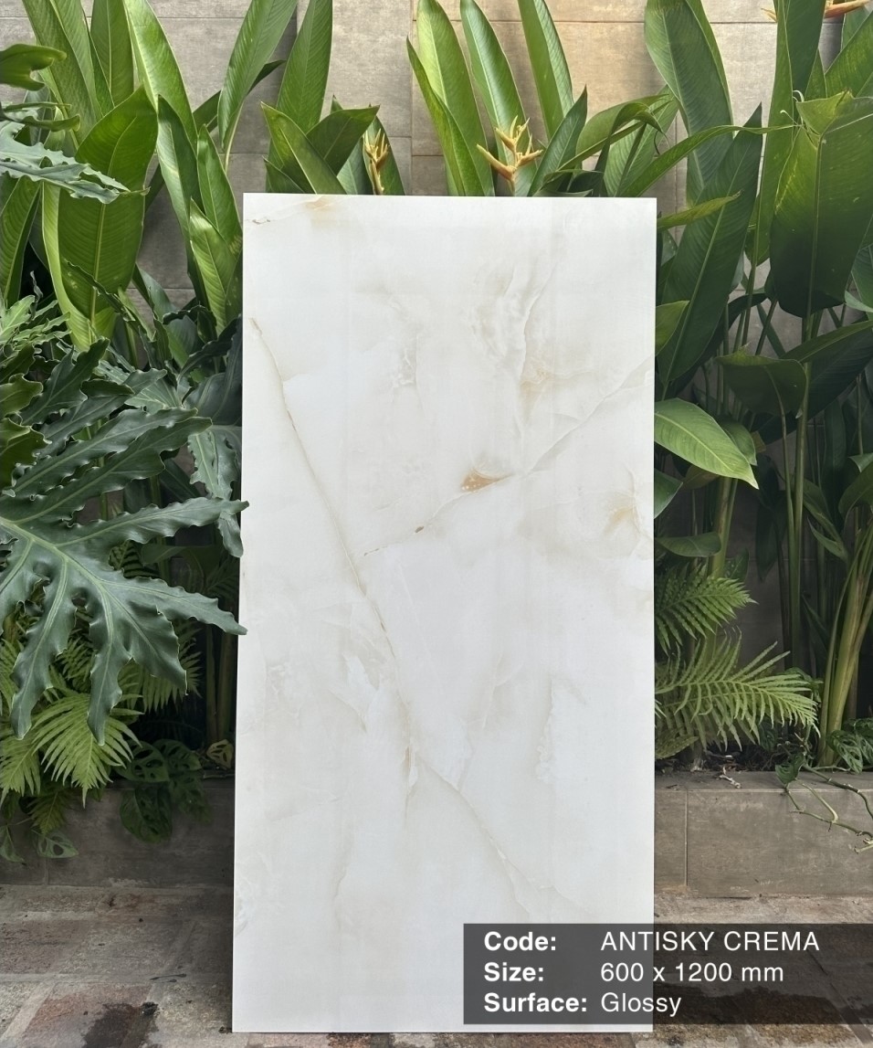 GẠCH ẤN ĐỘ 60X120 ANTISKY 