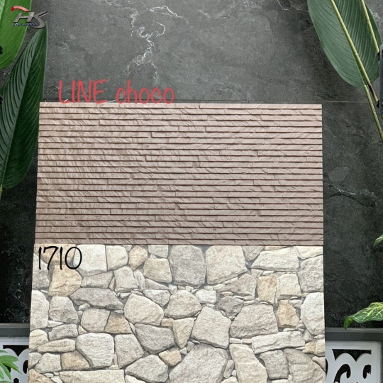 Gạch Trang Trí 30×60 Ấn Độ LINE choco