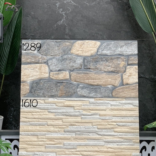 Gạch Trang Trí 30×60 Ấn Độ 1610