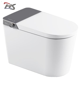Bồn Cầu Tự Động W 4101GE