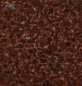 GẠCH BÓNG D820