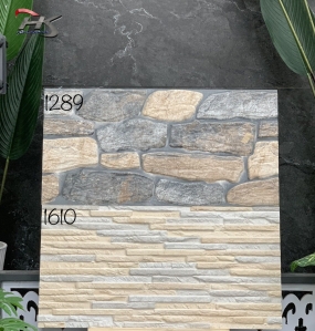 Gạch Trang Trí 30×60 Ấn Độ 1610