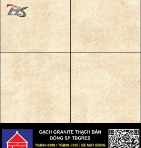 TGB60-0390.0/ TGB80-0390.0