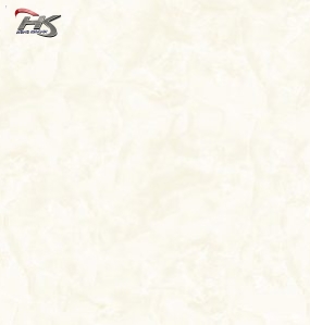FGB60-0081.0/FGB80-0081.0