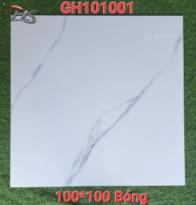 MÃ: 101001