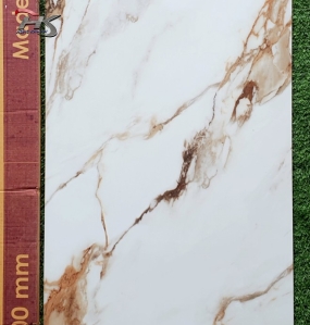  GH801606