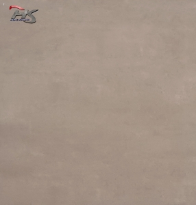 GẠCH MỜ LD8610