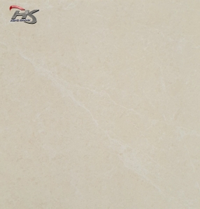 GẠCH BÓNG T8A02