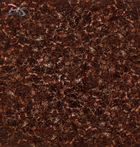 GẠCH BÓNG D820